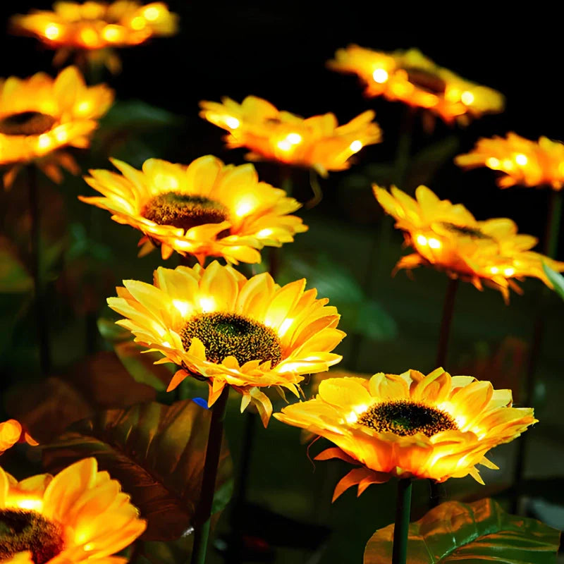 Solar Flower Lights Outdoor – Decorative LED Garden Stake Lights for Yard & Pathway | LumenTrail