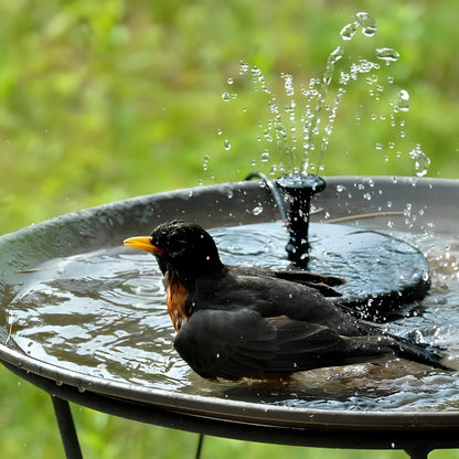 Solar Water Fountain with Lights – Floating Outdoor Fountain Pump for Bird Bath & Pond | LumenTrail