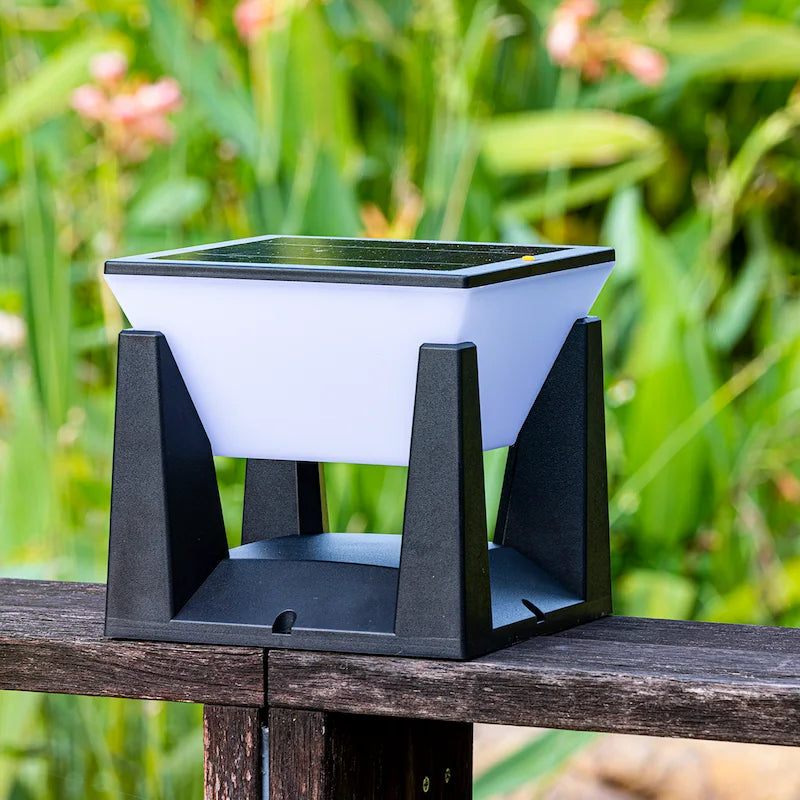 Solar Path Lights Outdoor – LED Landscape Lights for Walkway, Driveway & Yard, Waterproof | LumenTrail