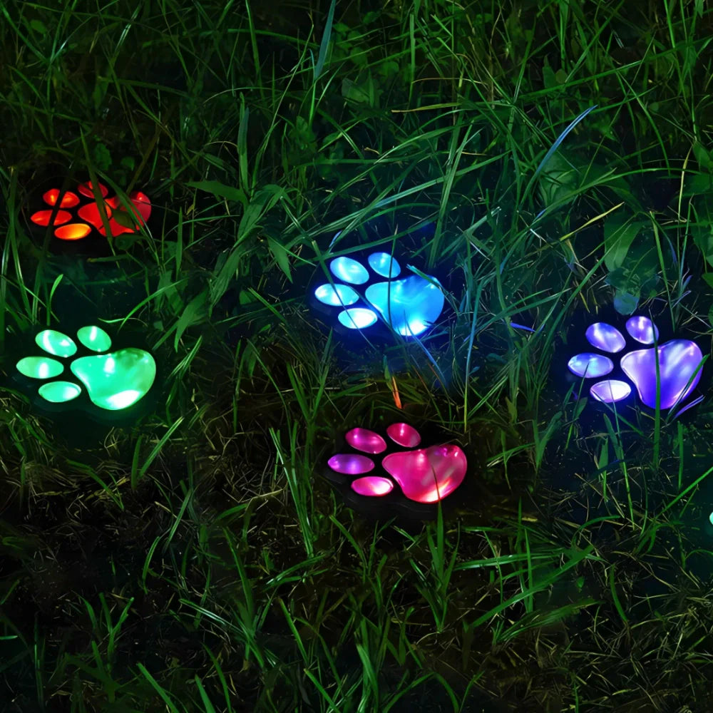 LED Dog Collar Light – Rechargeable Light Up Collar for Night Walks, Adjustable | LumenTrail