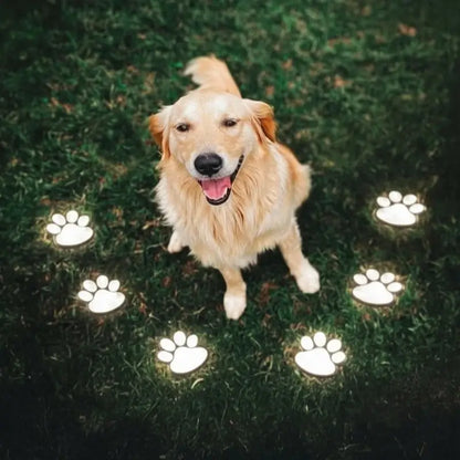 LED Dog Collar Light – Rechargeable Light Up Collar for Night Walks, Adjustable | LumenTrail